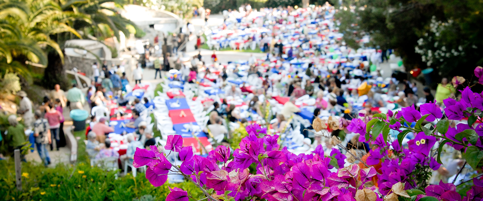 Hafif Foundation Charity Event